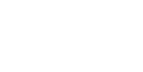 Paradise Oasis logo